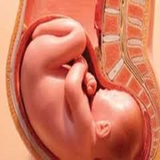 ir.hoshdarhaee.baraye.khanom.bardar.d