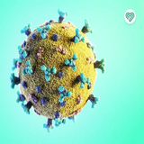 com.htmlApi24novinsoft99.ofonatha