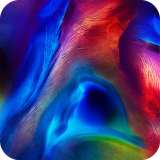 com.Huawei.Honor.Magic2.Wallpaper