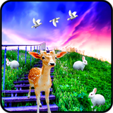 com.s5.grasslivewallpaper.free