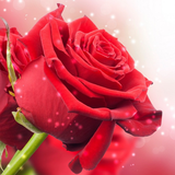 com.bakur30.gulduvar