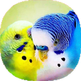 com.mnz_ht.morrgheeshgh