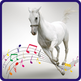 com.developerzx.animalvoice