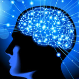 ir.testehosh.tosehpazir