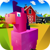 com.blockygames.blockypony