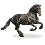 com.HorseLiveWallpaper