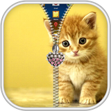 com.androbeings.kitty.zipper.lock.screen.free