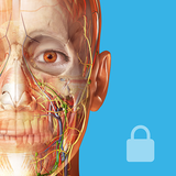 com.argosy.vbandroid.reg