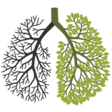 com.bamyagrafik.bamyasoft.sigarayibiraktim