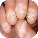 zemestan.kambudahabadabanchemikonad