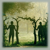 ir.sibsorkh.adamhava