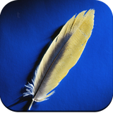 com.fatherwallpaper.fatherpicture