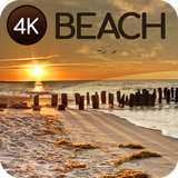 com.easy_wallpapers.beacch