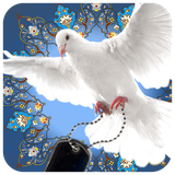 com.tasnim.bonyadshahid