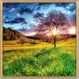 com.LandscapeHDLiveWallpaper