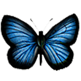 ir.bayandorian.parvaneh