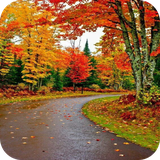 com.wAutumn_12736196