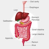 appinventor.ai_raziehghafouri.GI_patient_education_copy_Screen_checkpoint1