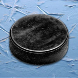 com.speedymarks.android.hockey