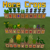 com.RaxmanMods.More.Crops.Games