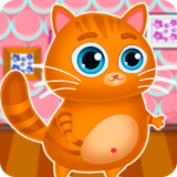 ir.darchinstudio.playcatt