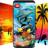 com.prilo.hd_Backgrounds_blackwallpapers_4Kwallpaper