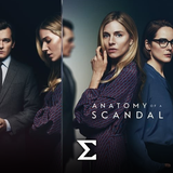 com.enigma.series.anatomy_of_a_scandal