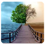 org.ne.da.rooz.ghiamat