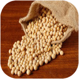 ghotbi.hobobatvasalamat