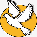 ir.sefr.ta.sade.parvaresh.kabotar.d