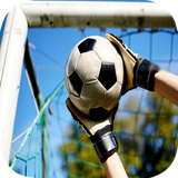 ir.tinasoft.goalkeeper_training