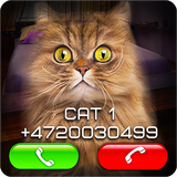 ru.fakeappsandgames.fakevideocallcat