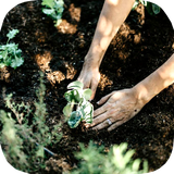 ir.tinasoft.plant_care_at_home