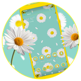 com.navi.daisy.flower