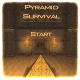 org.PyramidSurvival