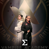 com.enigma.series.vampire_academy
