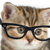 com.wysiwyg.crazyhipstercat