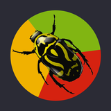 droidgeek.gilsam.greenyellowred