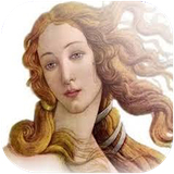 bmw.elaahehayyunaani