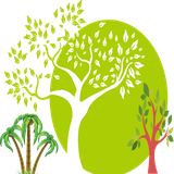 sadra.taksir.derakhtogol