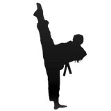 professional.poomsae.ir