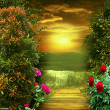 com.wikitech.hdwallpapers.backgrounds