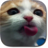 com.pg.catlickscreenpro