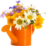 pargolvgi.pargolvgi40