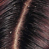 com.rahhayedarmanshoresar.rahhayedarmanshoresar