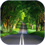 zemestan.ayandenegari