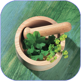 mast.geyahanedarooeii