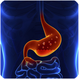 net.berke.app.mede.sal