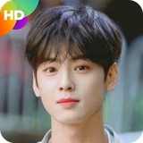 com.zaaratm.chaeunwoowallpaper