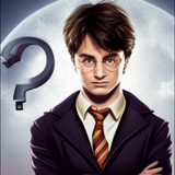 com.denisnowills.guesshpcharacterspell